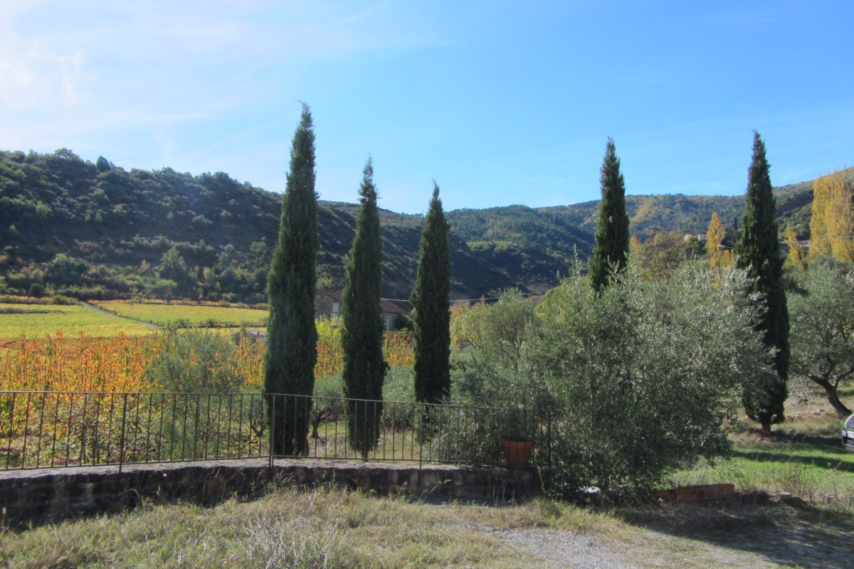 Photo n° 8 de la location