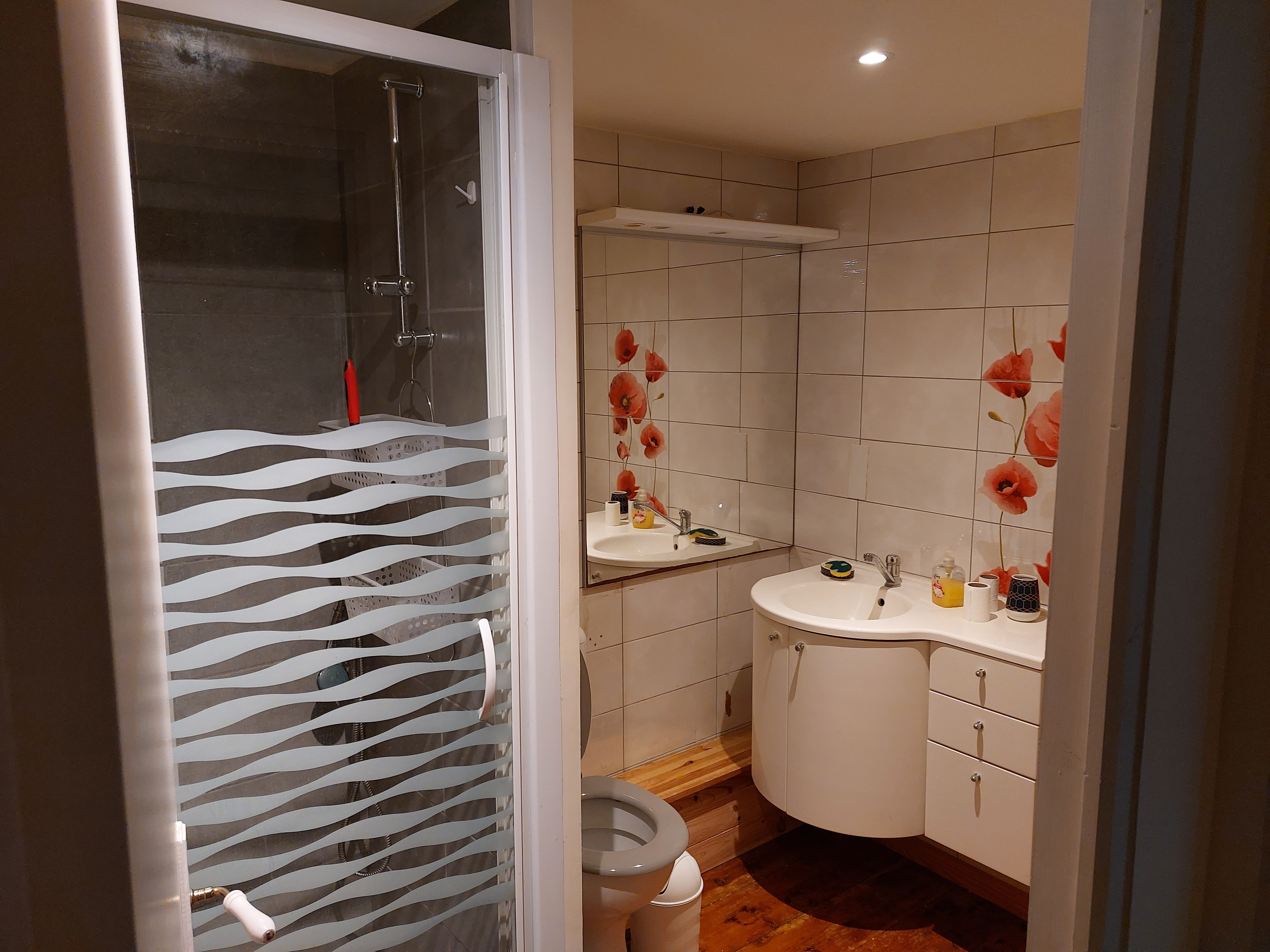 Salle d'eau 1er etage