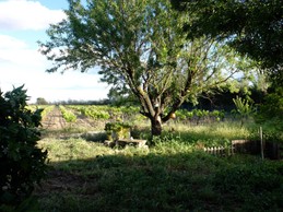 Image n° 4 de la location