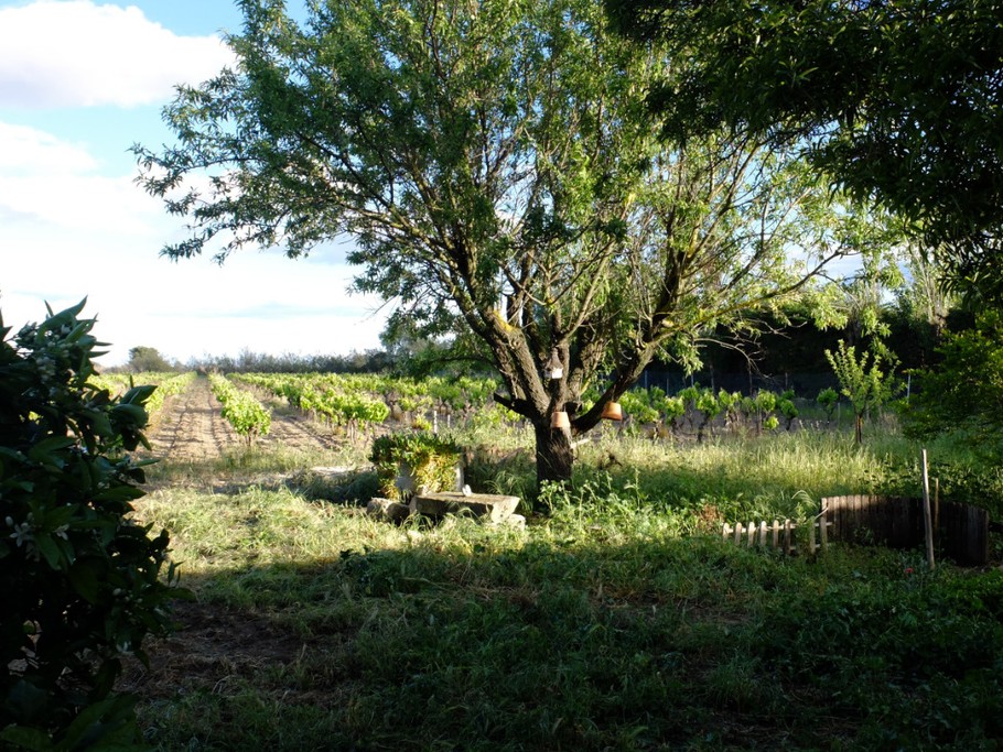 Photo n° 4 de la location