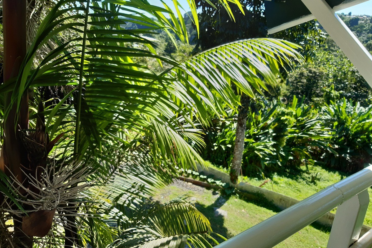 Photo n° 9 de la location