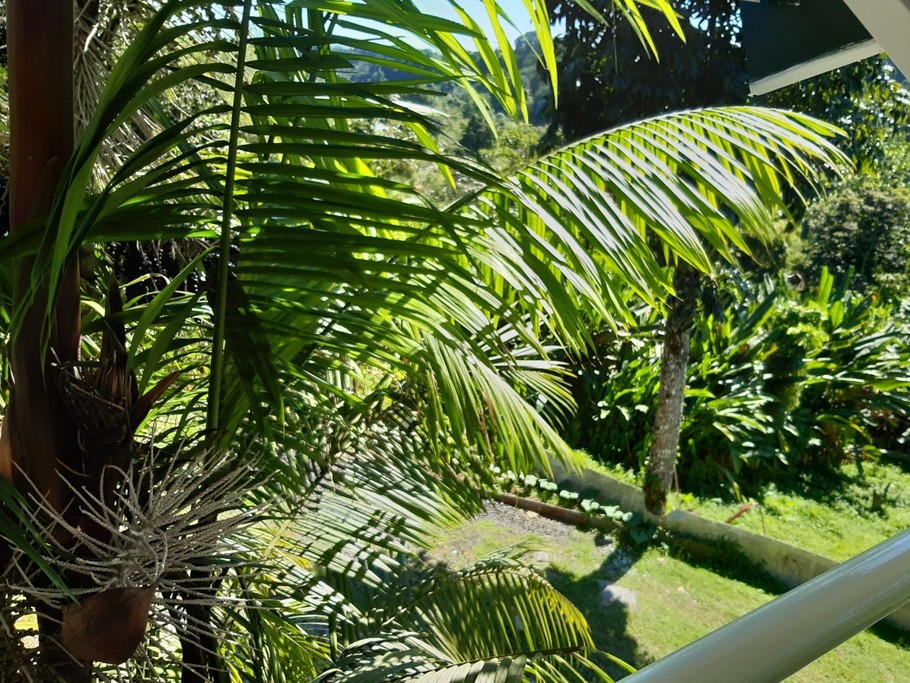 Photo n° 9 de la location