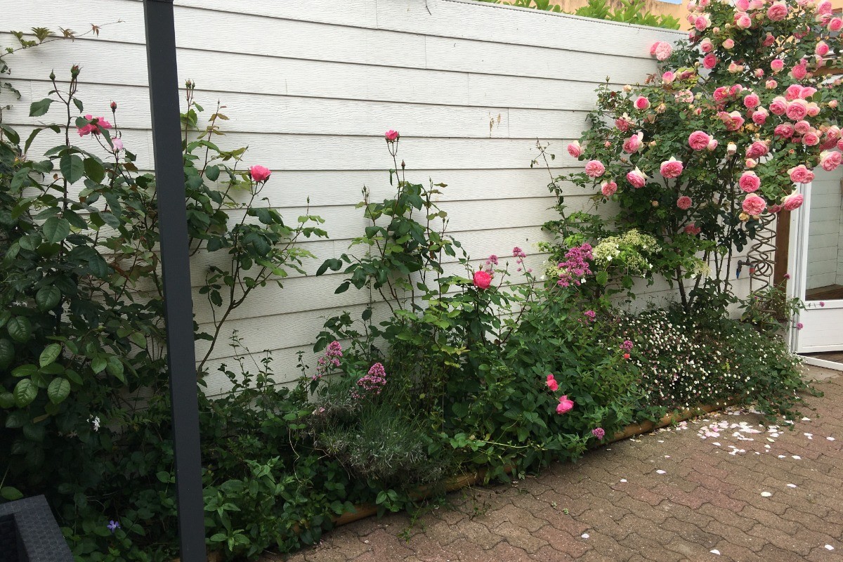 coin verdure