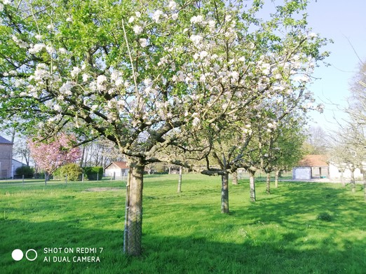 Image n° 1 de la location