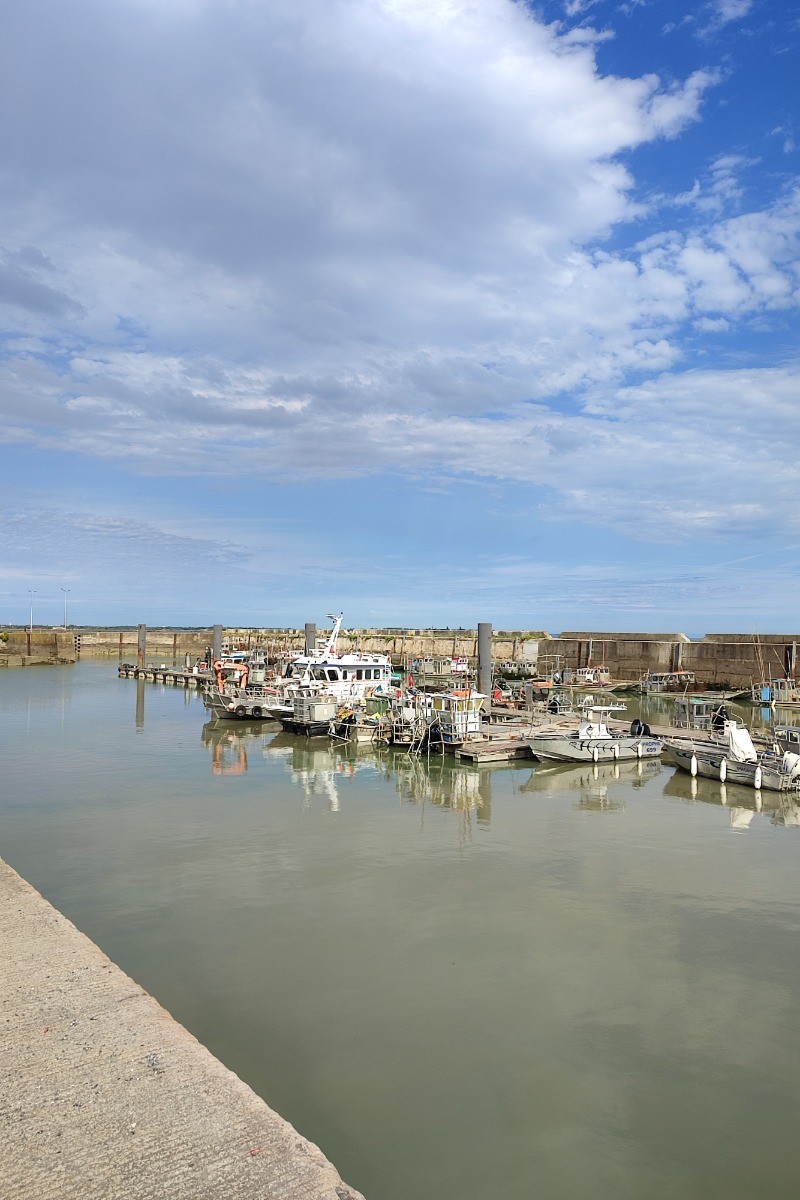 Le port de Bourcefranc, au bout de notre rye