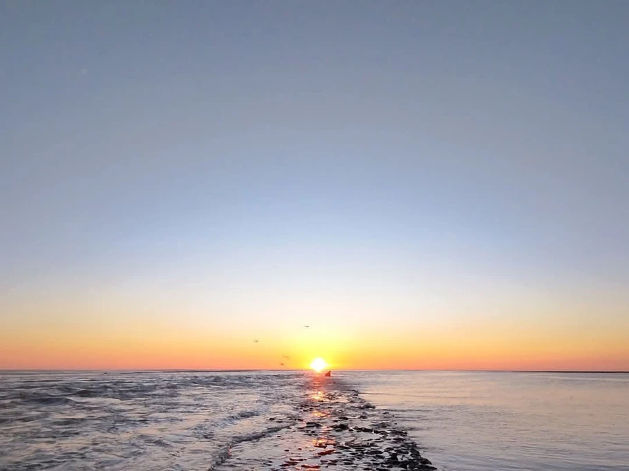 Photo n° 2 of the location