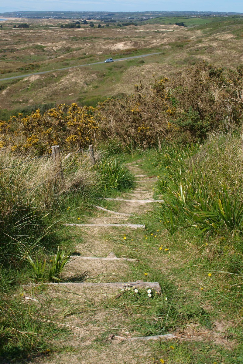 balade dans les dunes