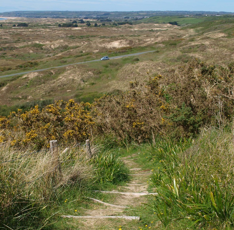 balade dans les dunes
