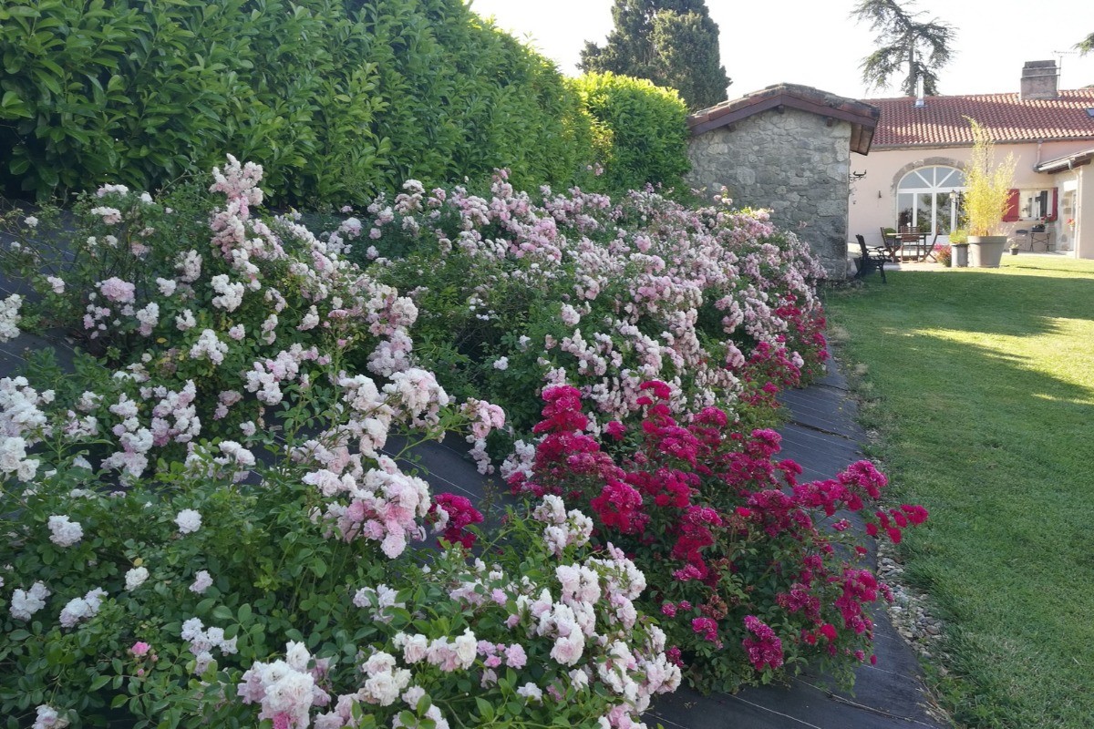 Photo n° 23 of the location