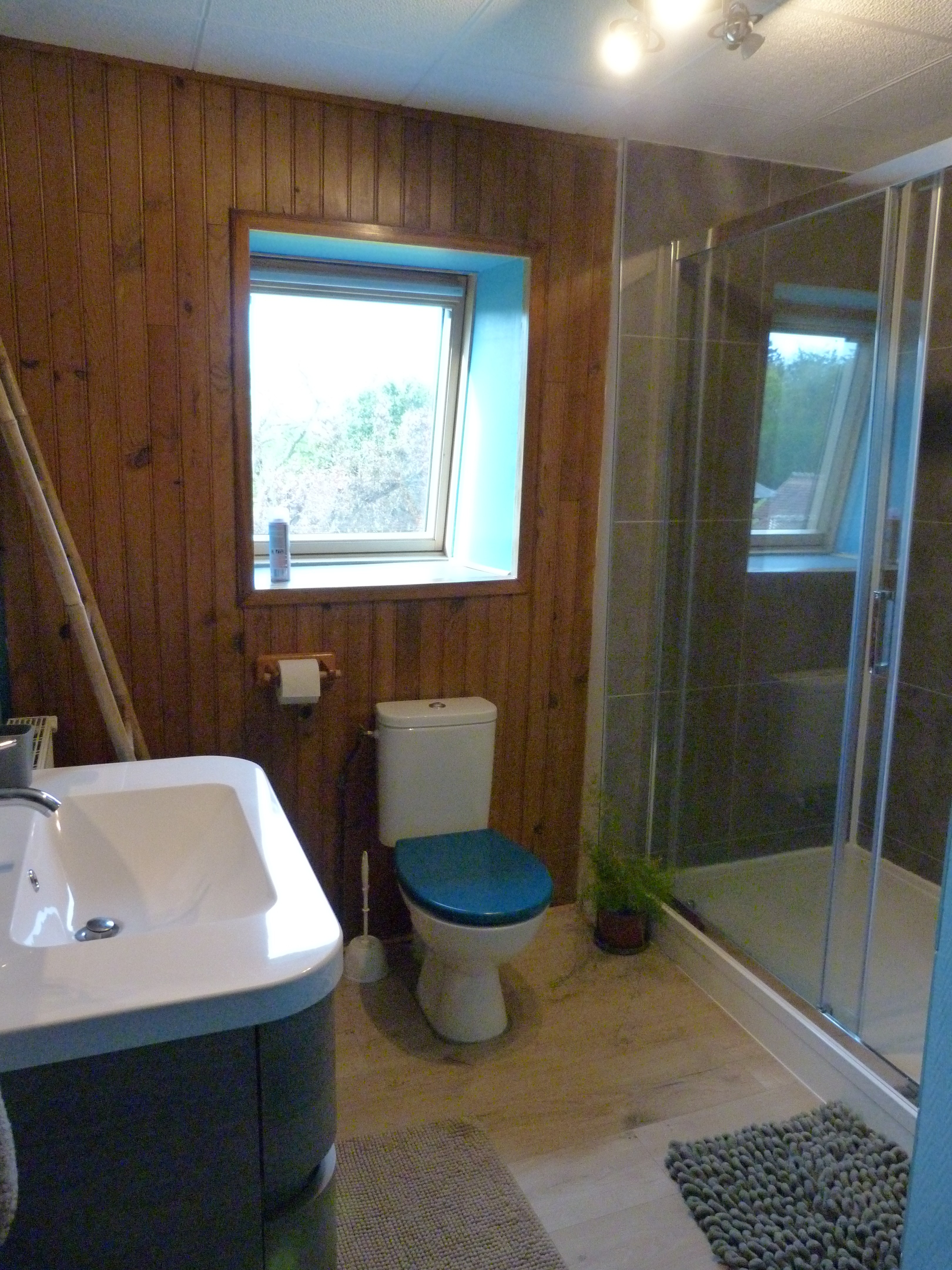 Salle de bain avec toilette