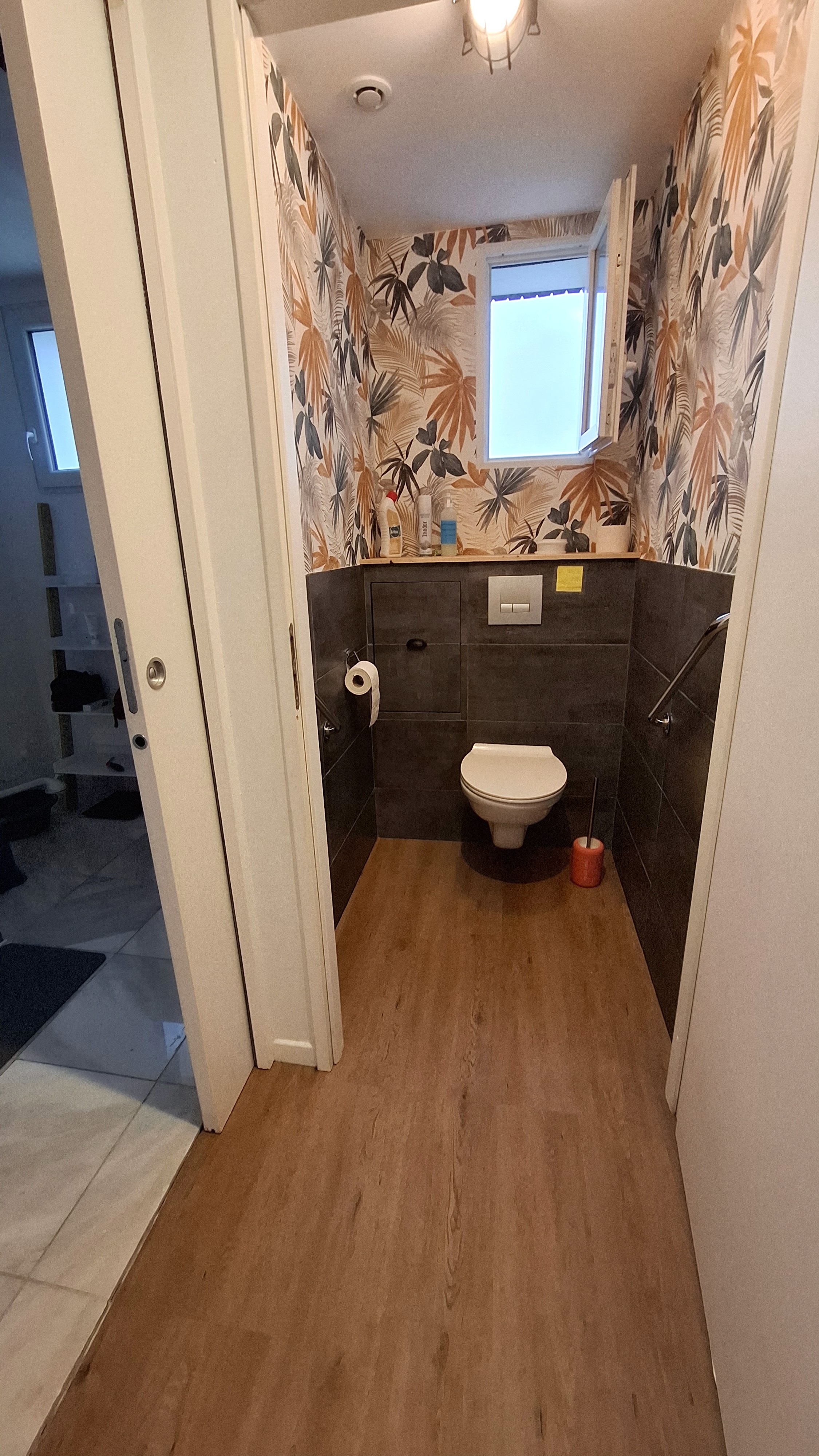 Toilette avec barres d’appui