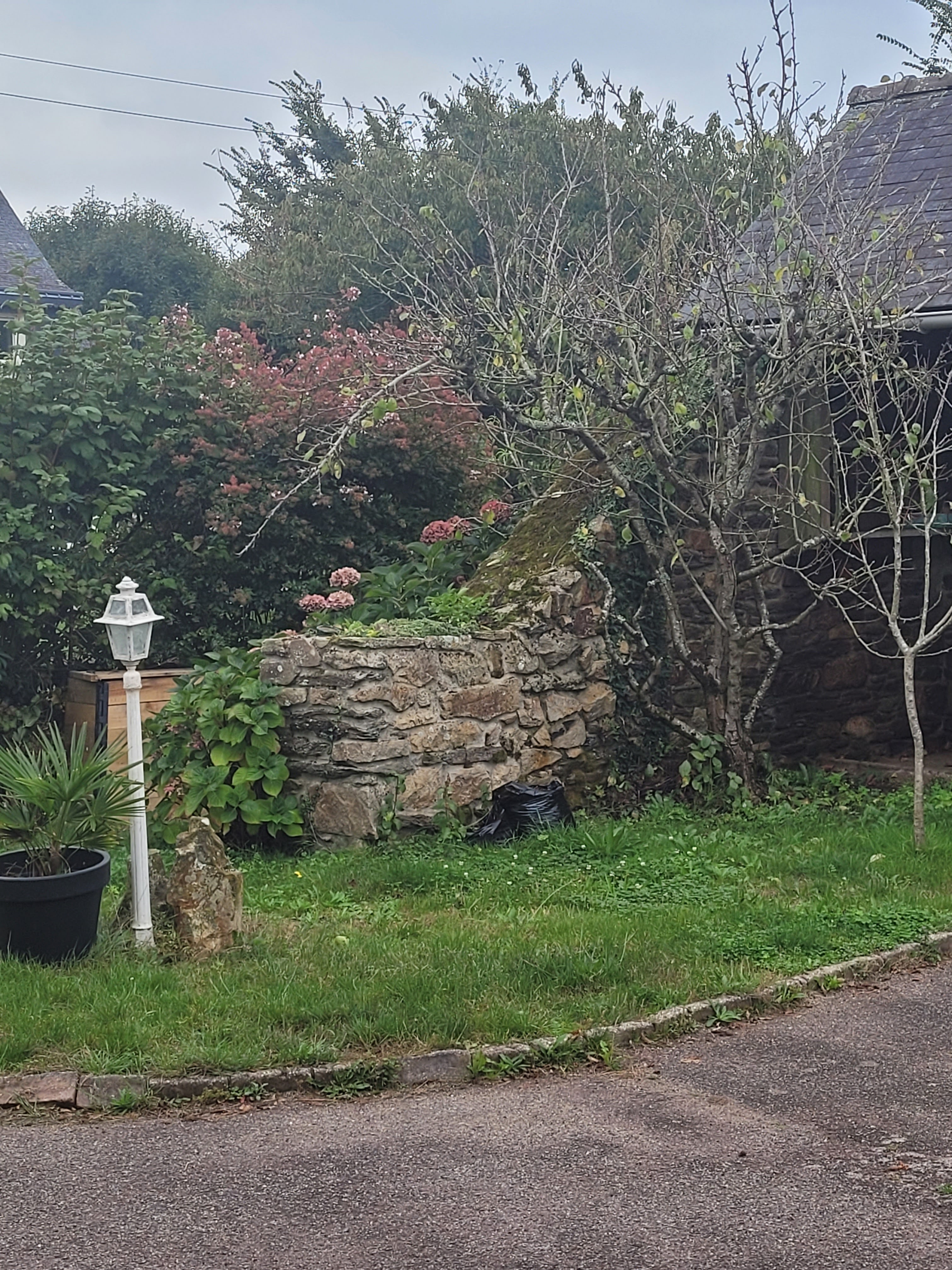 Photo n° 18 de la location