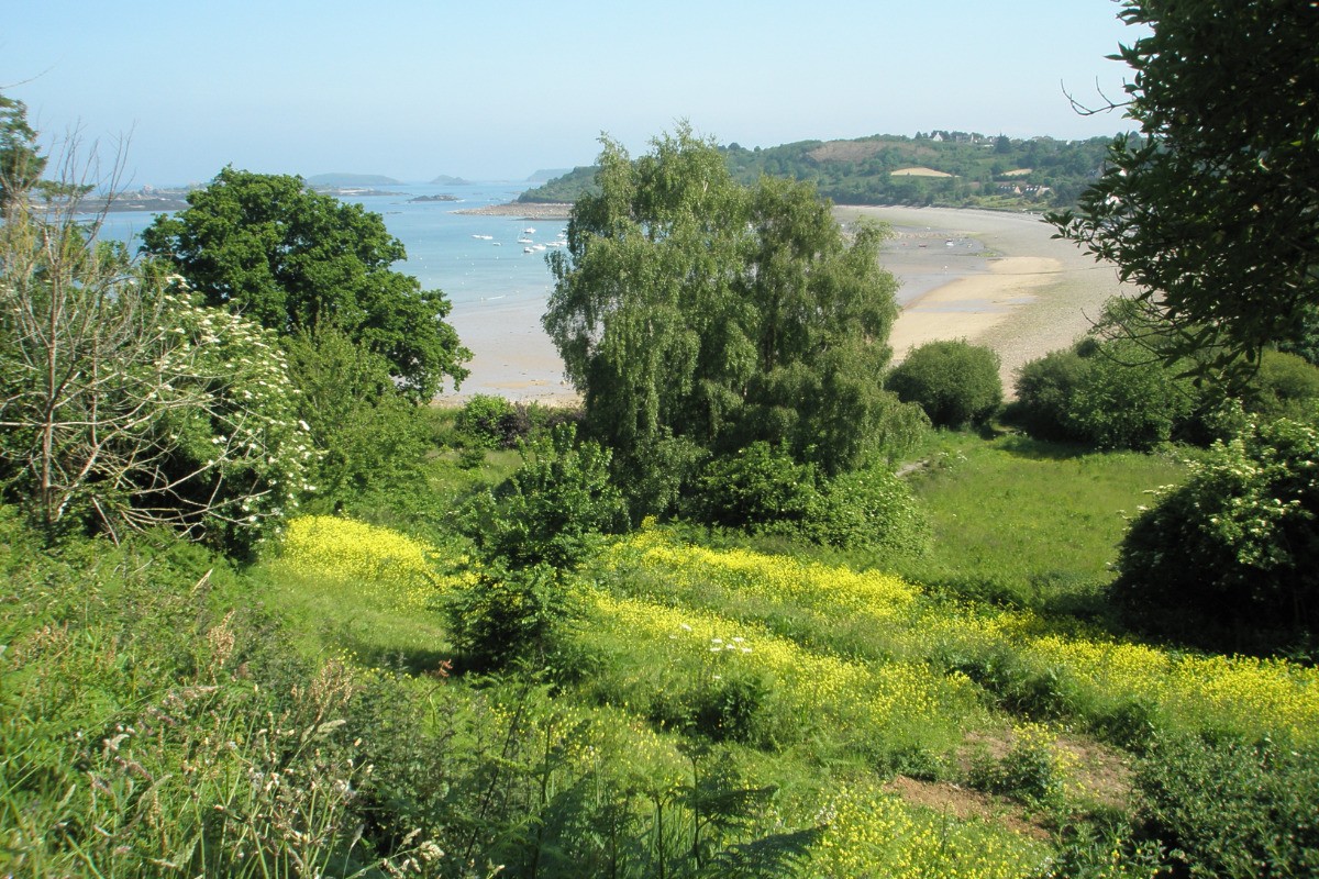 printemps à la Réserve