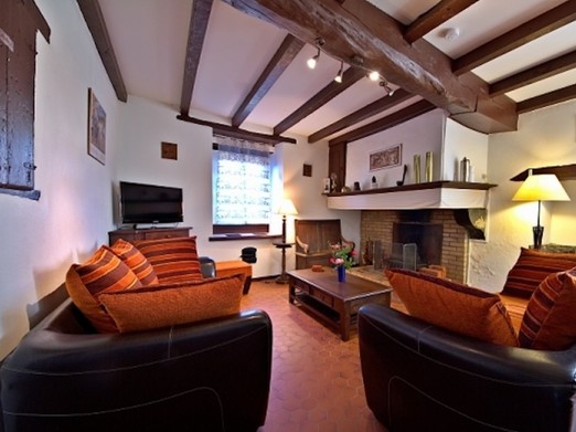 Salon avec cheminée, TV, lecteur Cd, bibliothèque, jeux