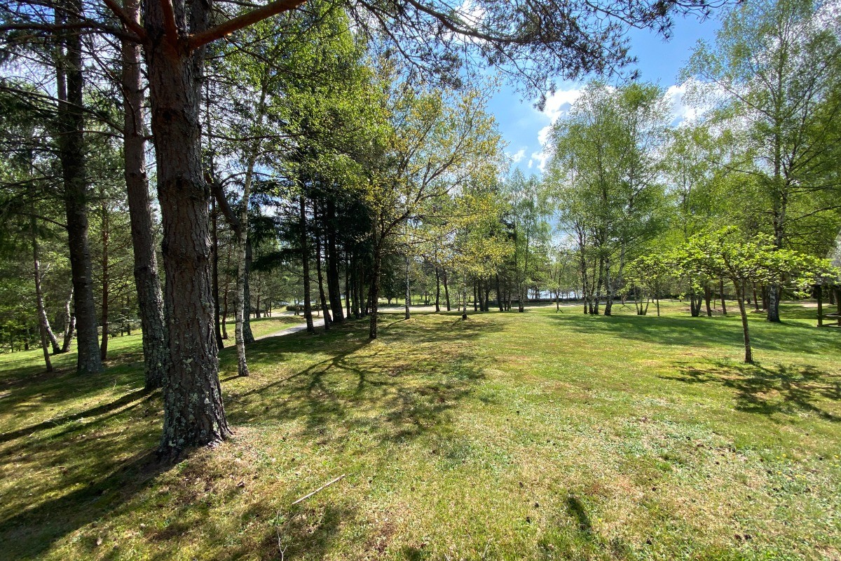 parc arboré