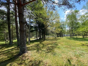 parc arboré