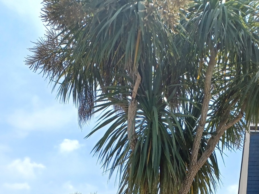 Photo n° 14 de la location
