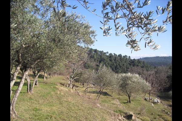Photo n° 16 de la location