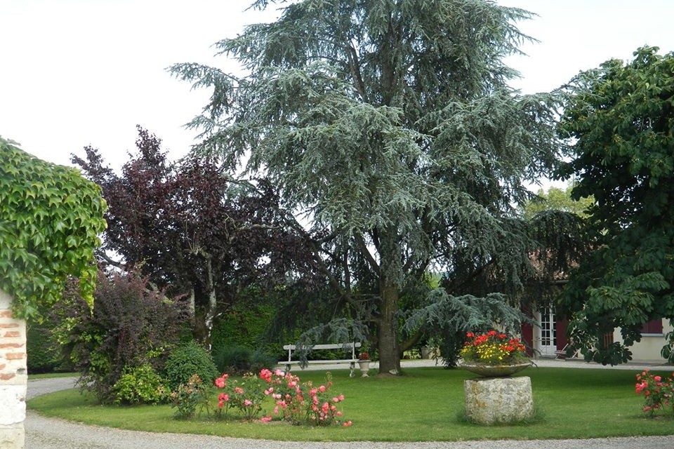 Photo n° 3 of the location