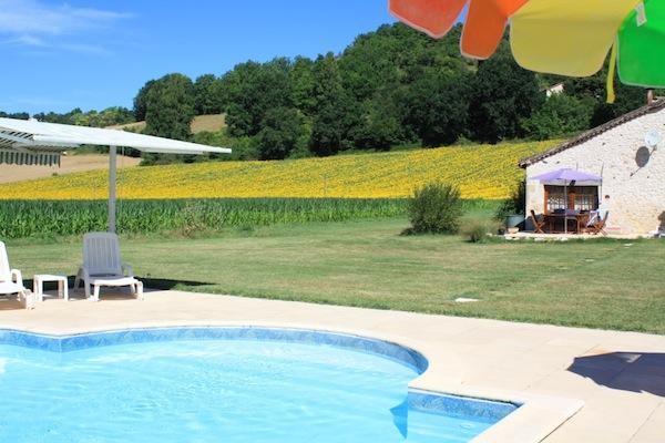 Piscine, terrasse, tournesols.......calme et volupté!