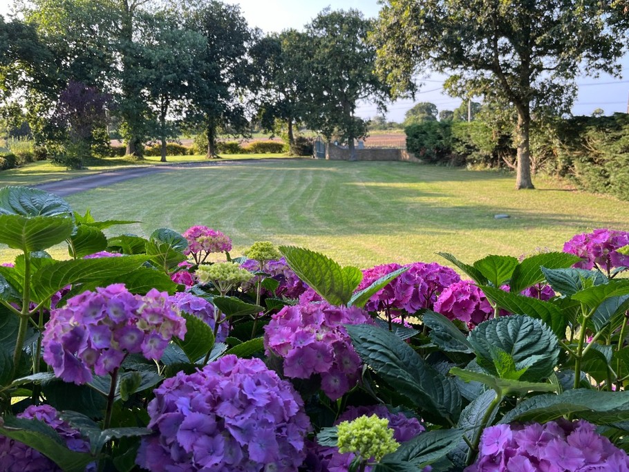 Photo n° 12 of the location