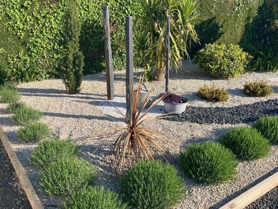 Photo n° 6 de la location