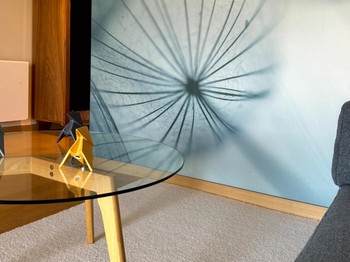 Photo n° 5 de la location