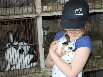 Photo n° 17 of the location