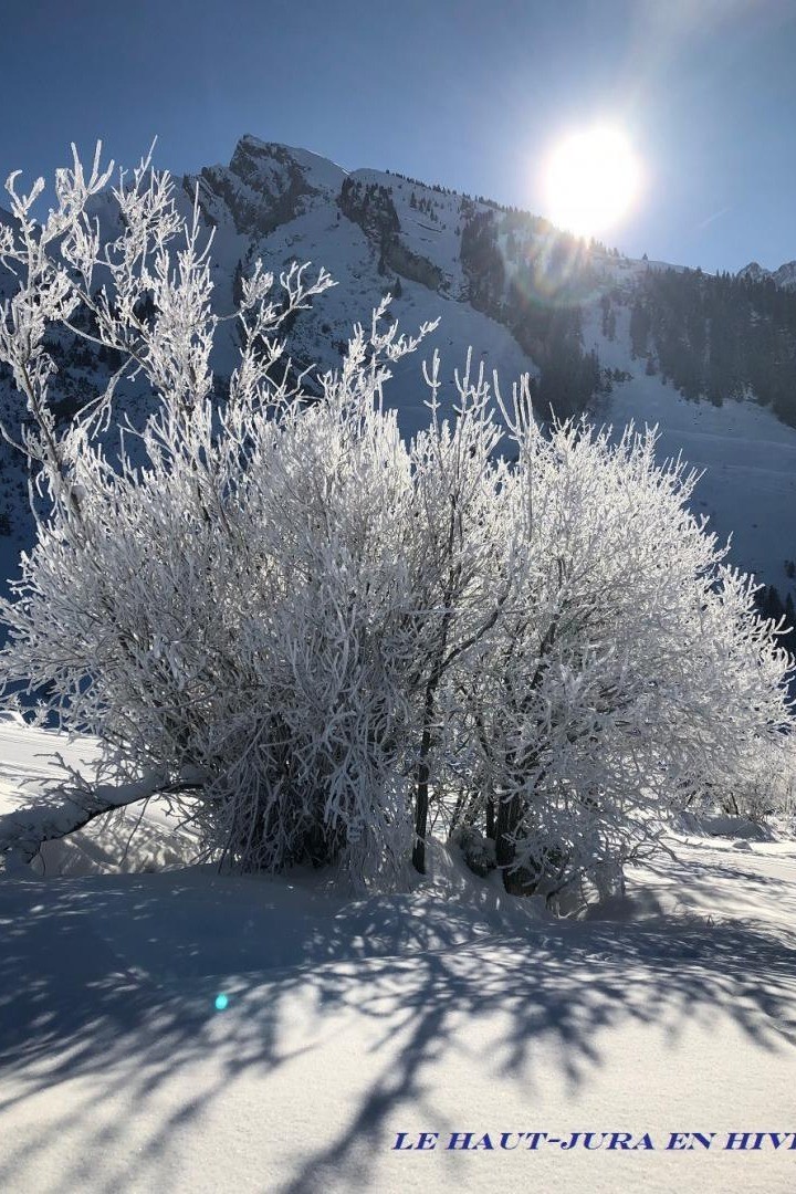 Photo n° 10 of the location