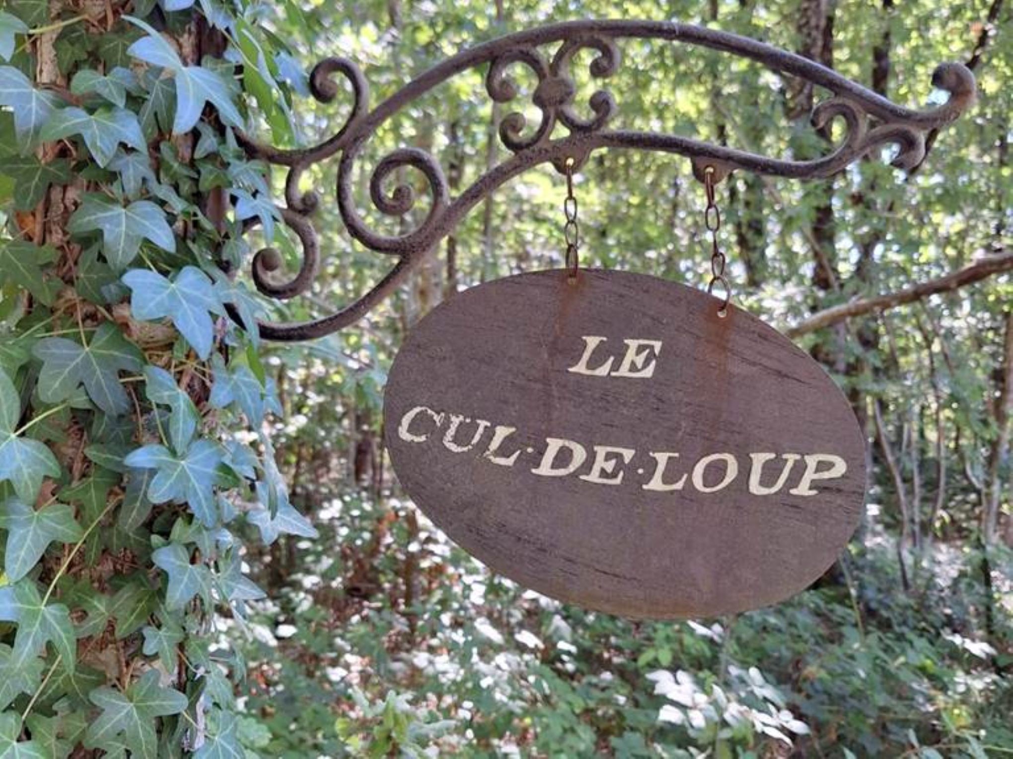 Photo n° 2 of the location