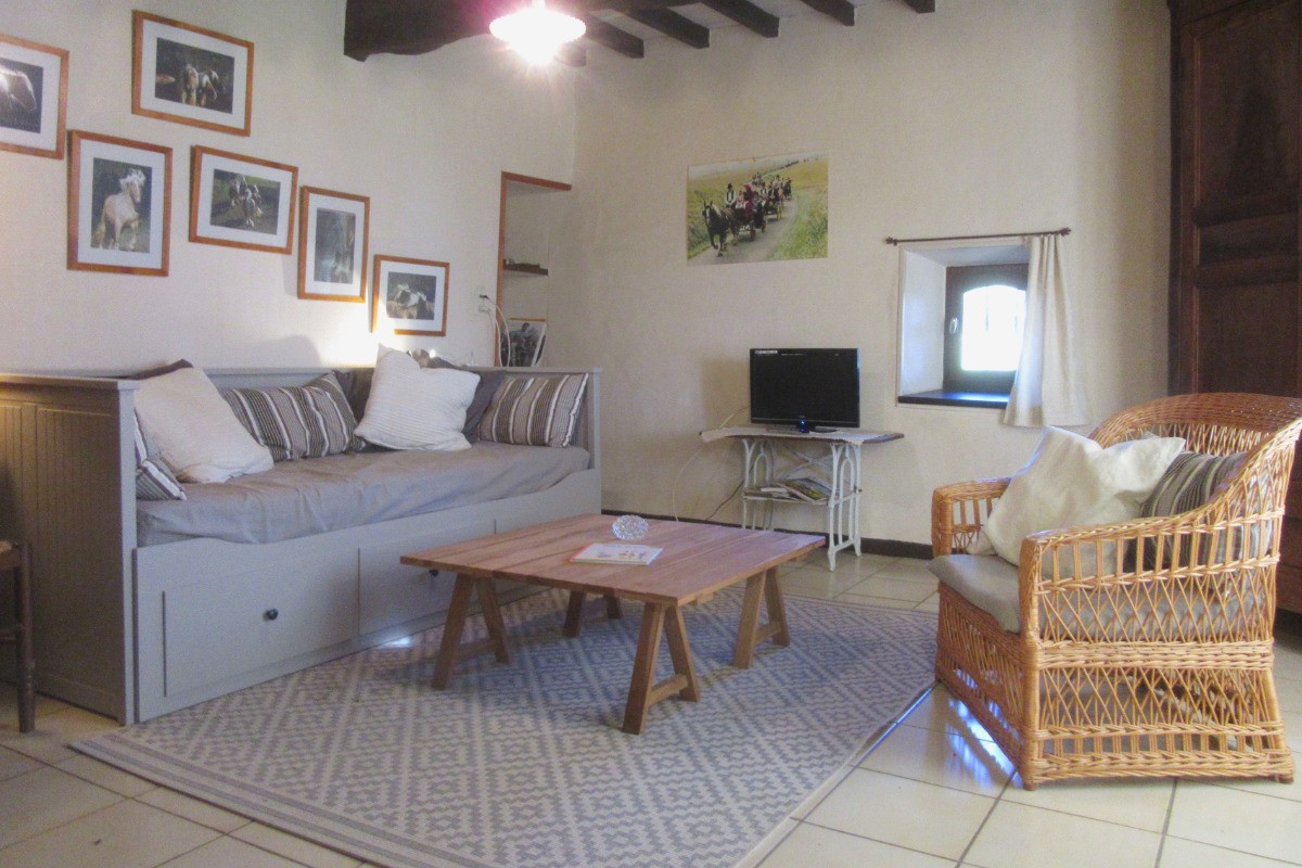 salon avec canapé convertible 160cm - gîte Chez Grand Père