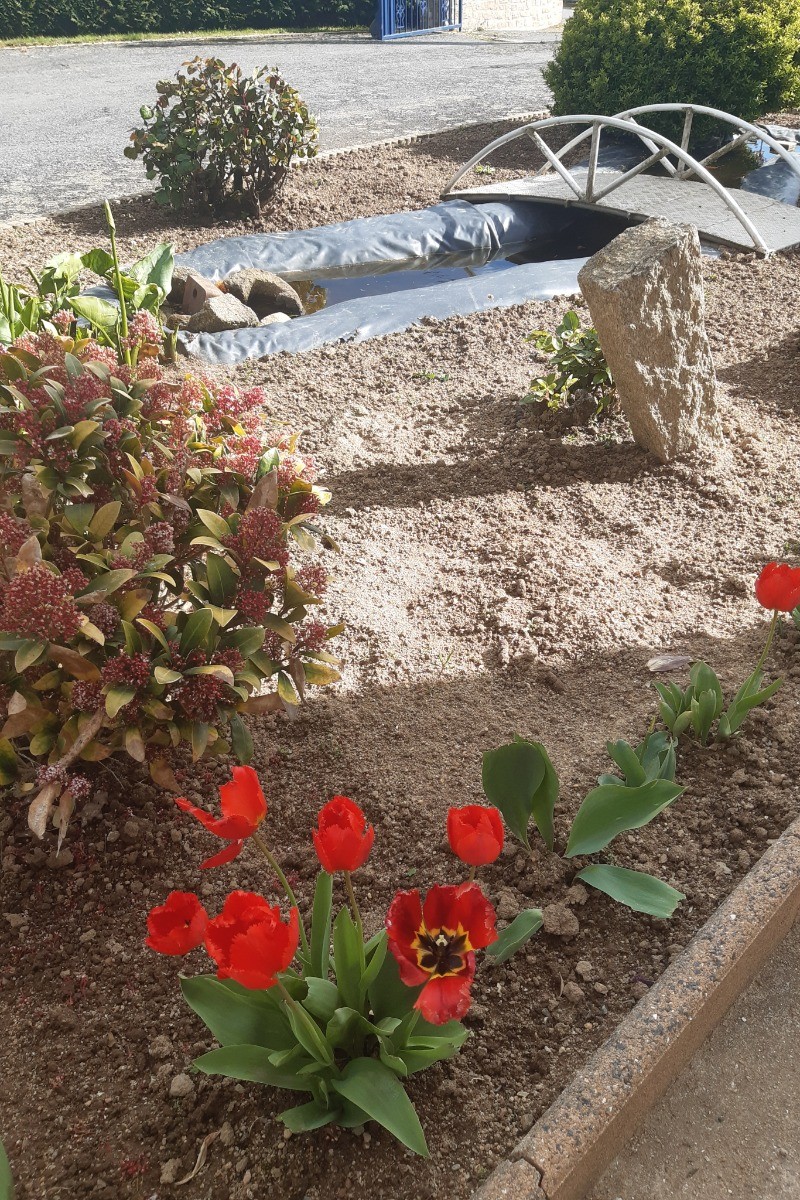 Photo n° 10 de la location