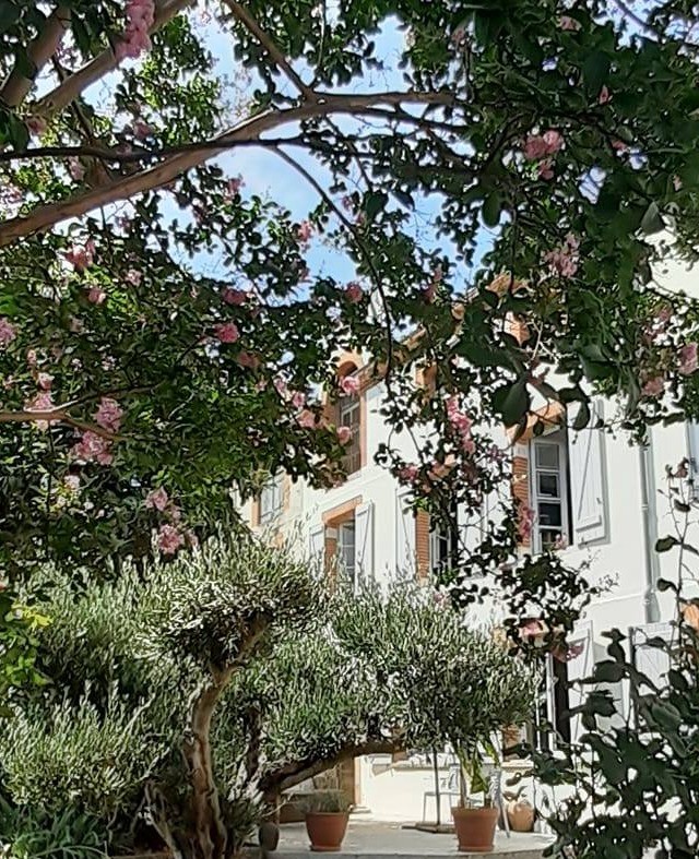 Photo n° 6 de la location