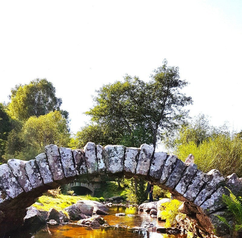 Photo n° 20 de la location