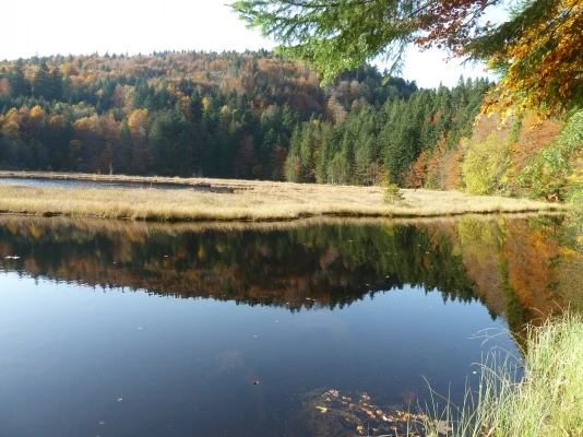 Photo n° 19 de la location