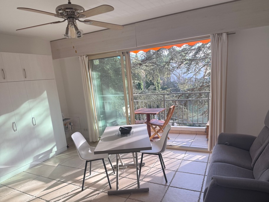 Studio 409 - Séjour avec lit escamotable