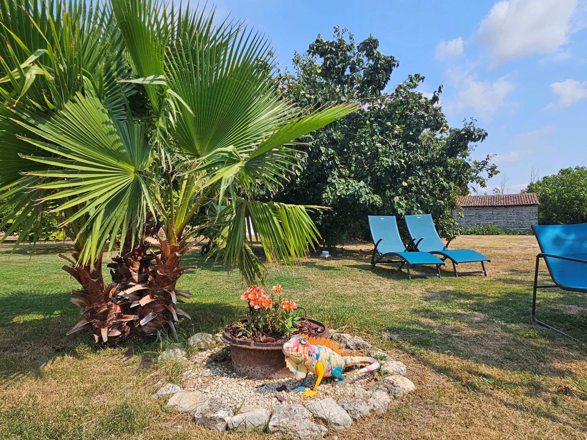 Vu des gites sur le jardin au Moulin de Mauzac en Charente maritime
