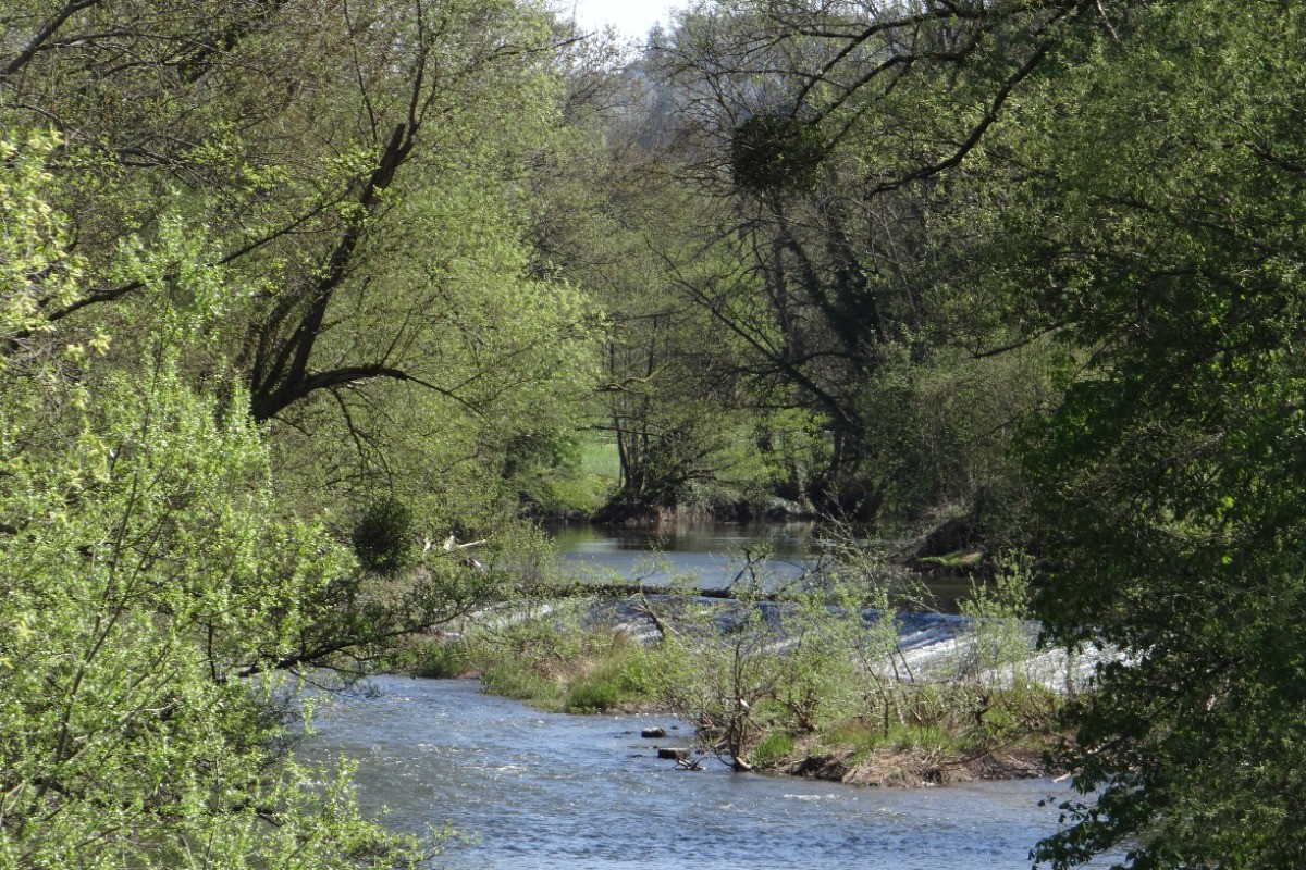 la blies ( rivière frontalière)