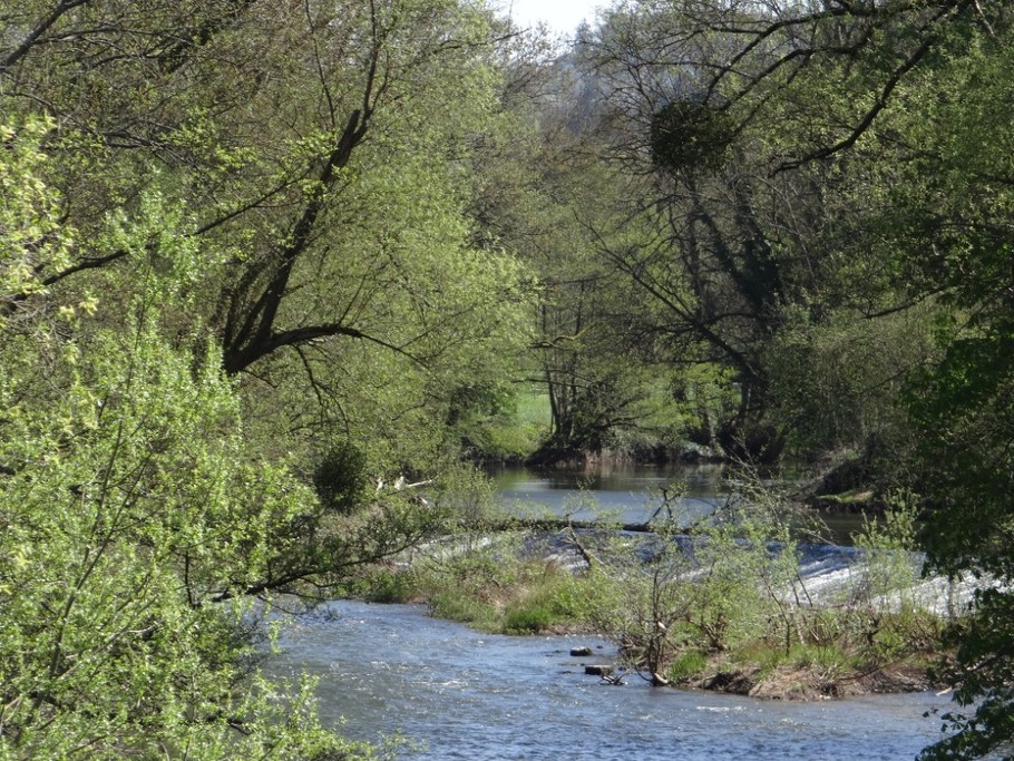 la blies ( rivière frontalière)