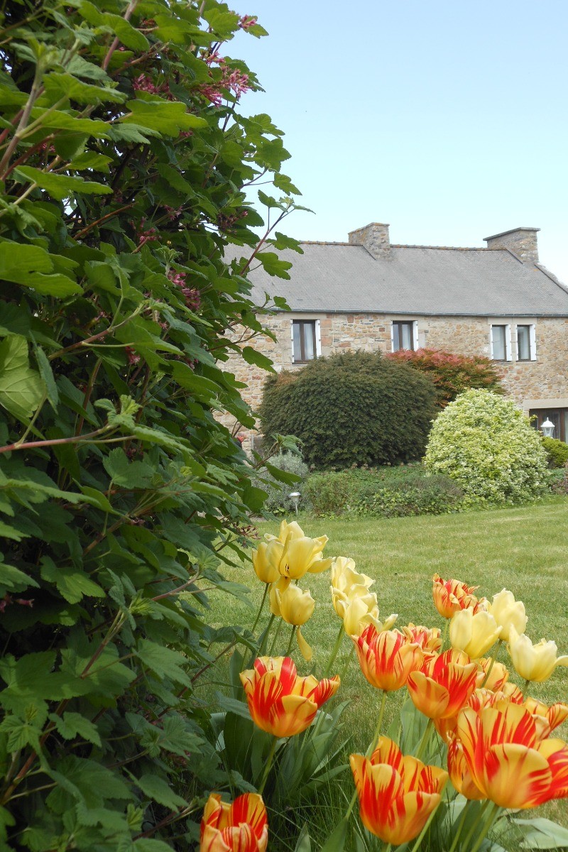 extérieur + jardin