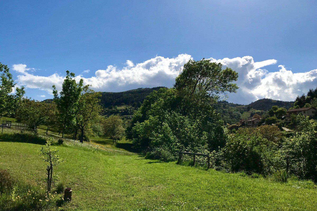 Vue de la maison sur le jardin et le verger.