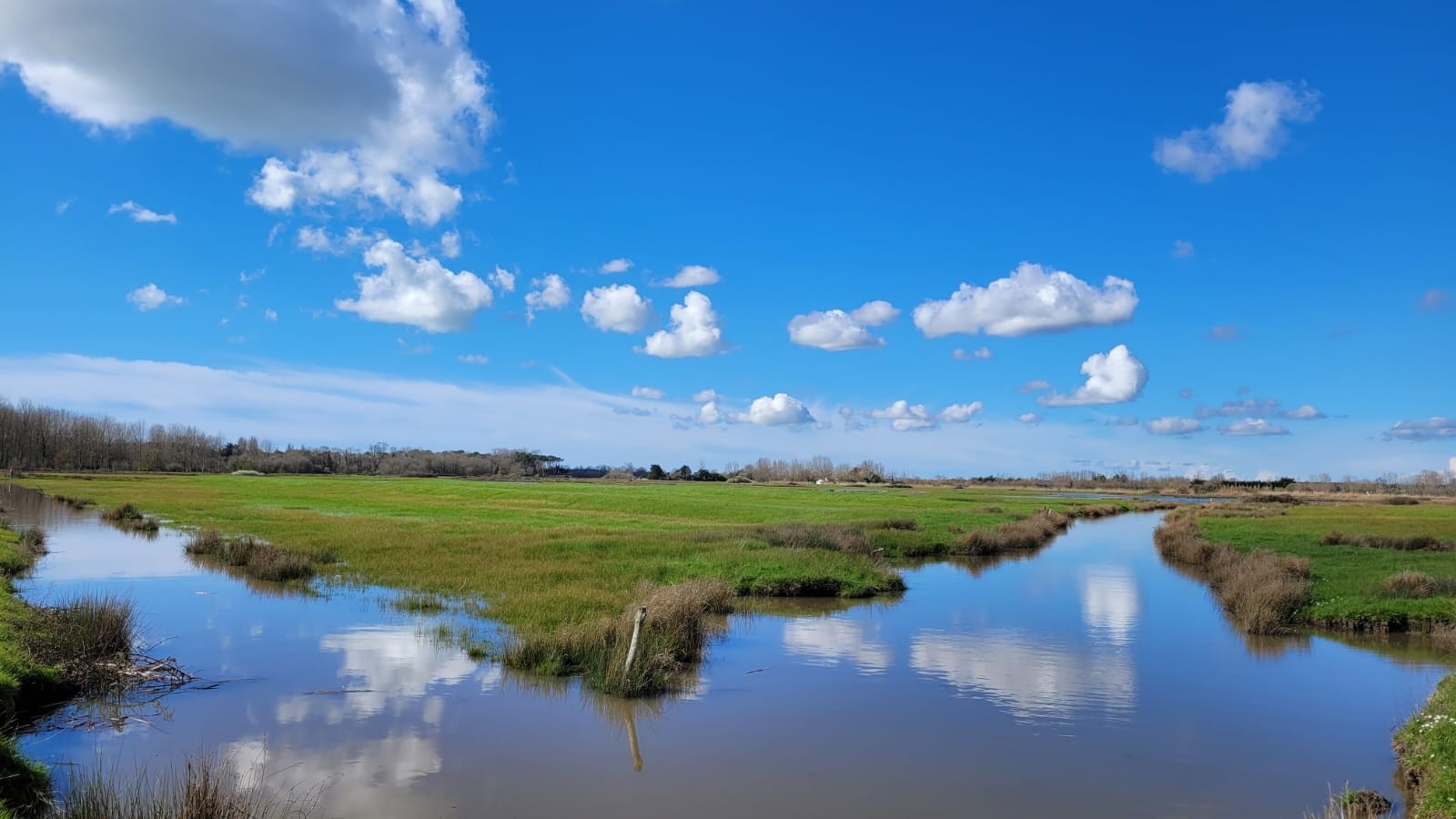 Les marais bretons