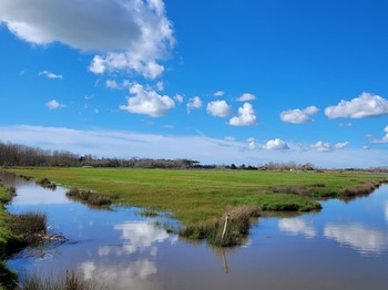 Les marais bretons