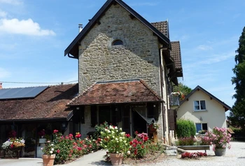 La cour