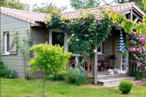 Photo n° 7 de la location