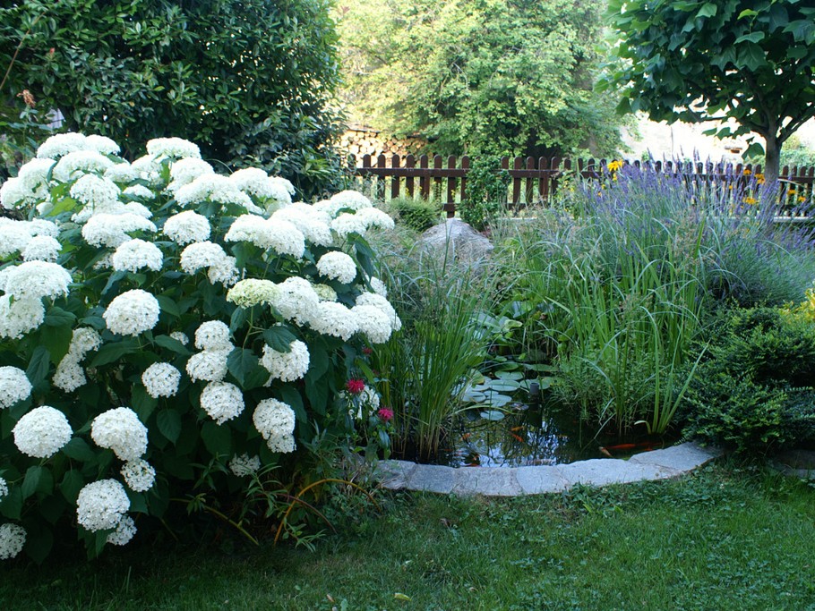 Bassin de proximité