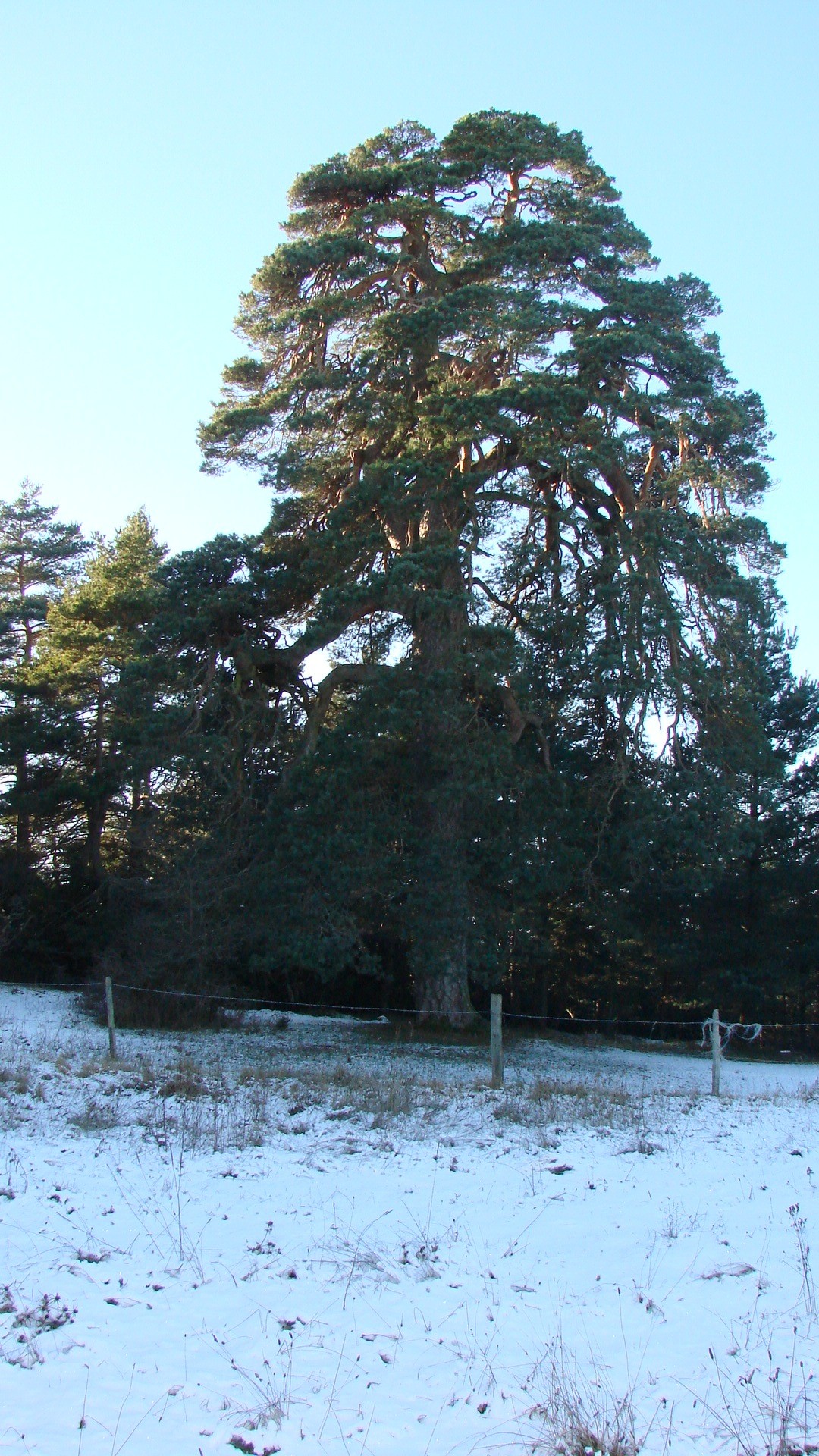 Photo n° 18 of the location