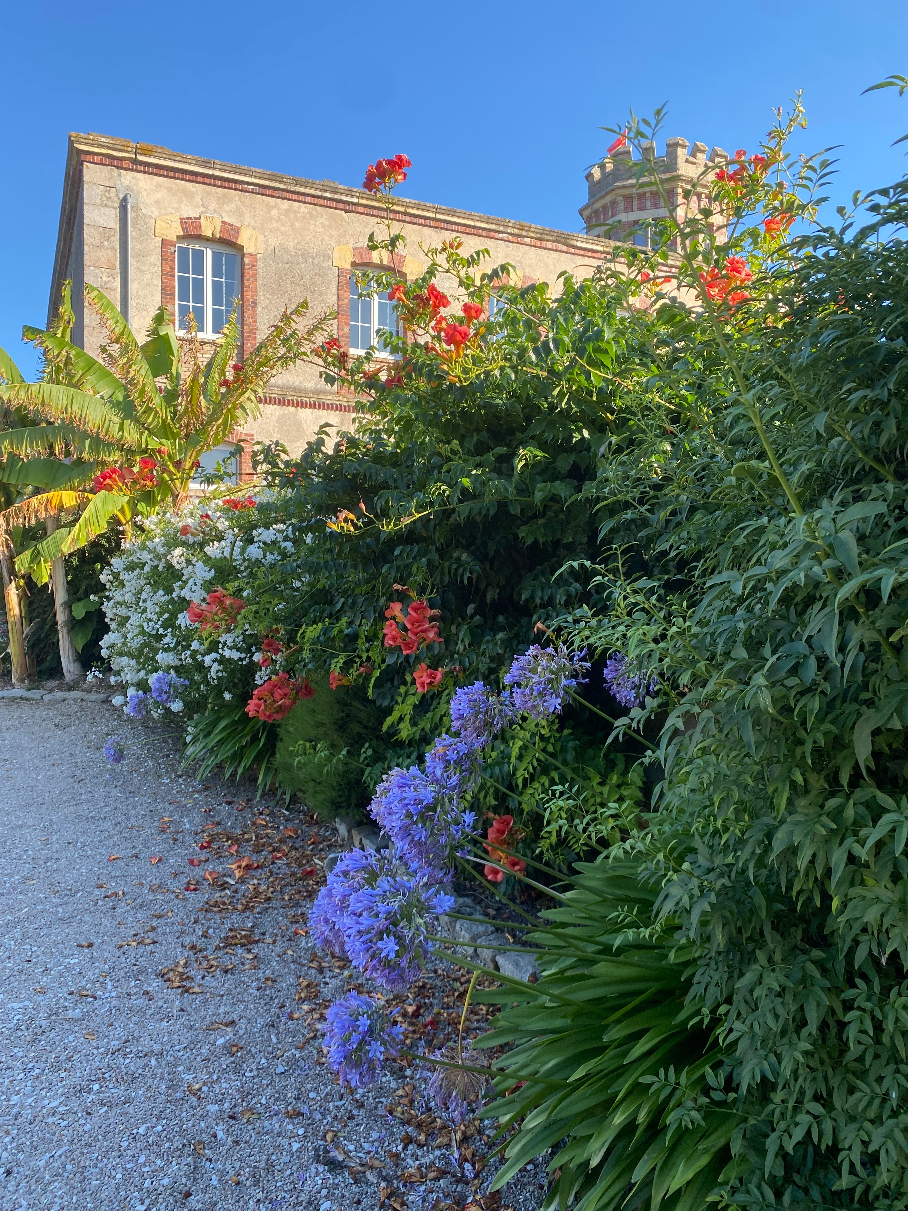 Photo n° 4 of the location