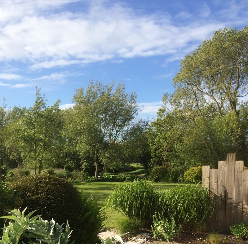 Photo n° 8 of the location