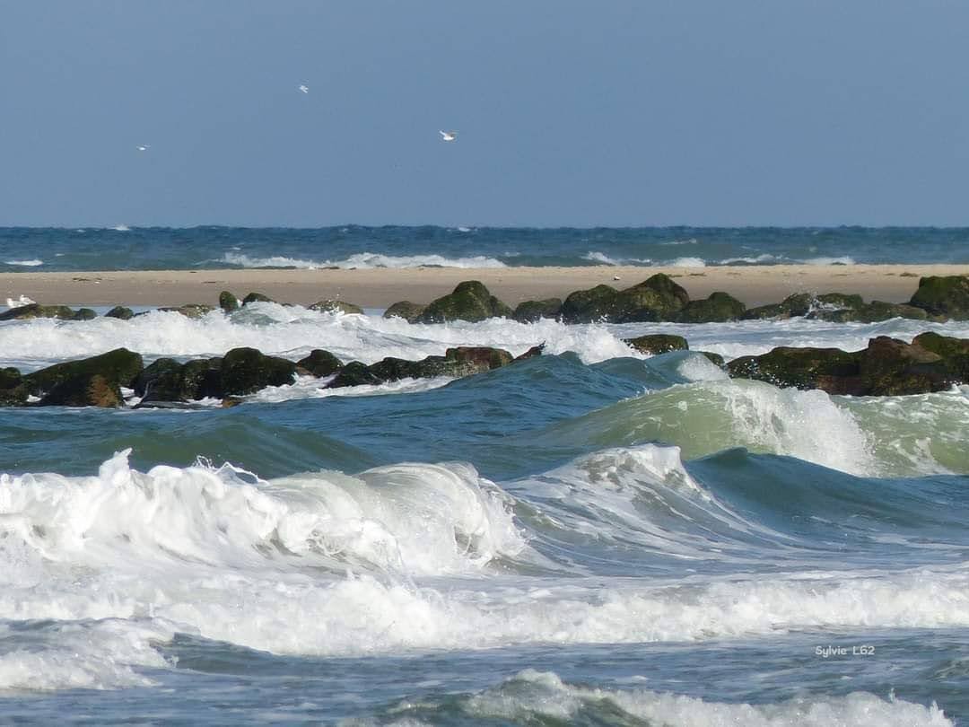 Photo n° 20 de la location